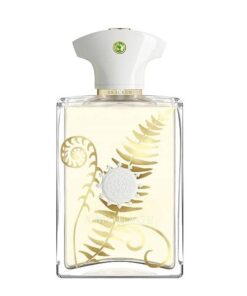 عطر ادکلن آمواج براکن مردانه Amouage Bracken Man