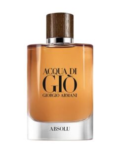 عطر ادکلن جورجیو آرمانی آکوا دی جیو ابسولو | Giorgio Armani Acqua Di Gio Absolu