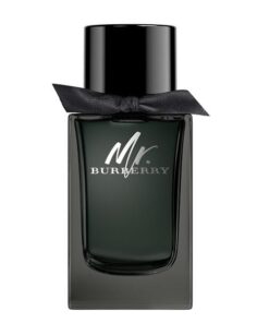 ادکلن مستر باربری ادو پرفیوم | Mr. Burberry EDP 150ml